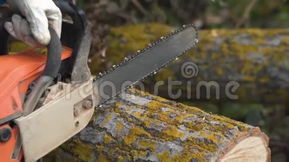 伐木工人在防护用具上用电锯在森林中砍柴用木材树视频的预览图