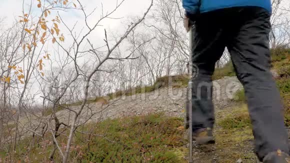旅行者一个人背着背包去爬山他过着健康的生活方式视频的预览图