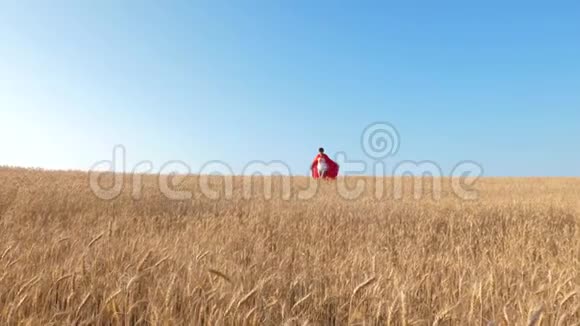 超级英雄女孩带着小麦跑过田野对着蓝天微笑视频的预览图