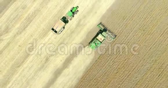 四台现代联合收割机和拖拉机拖车在小麦作物上工作空中景观视频的预览图
