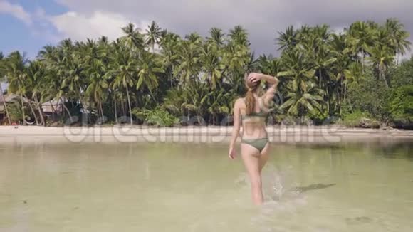 夏日沐浴后美丽的女人在热带岛屿的海水中散步穿泳装的年轻女子视频的预览图