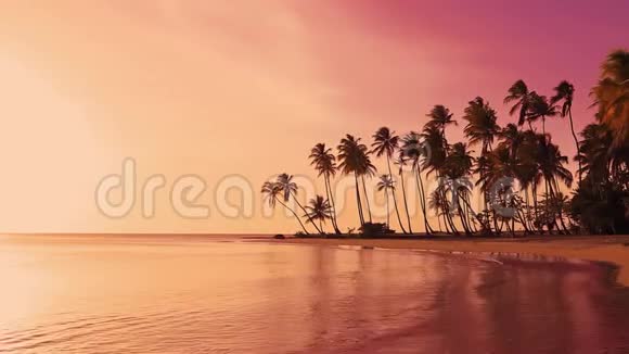 岛棕榈树岛红色黎明黄色的太阳日落海上视频的预览图