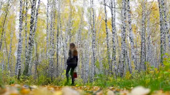 长头发的女孩带着红色的手提包走在金色的桦树之间视频的预览图