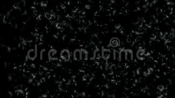 太空中的蒲公英种子视频的预览图