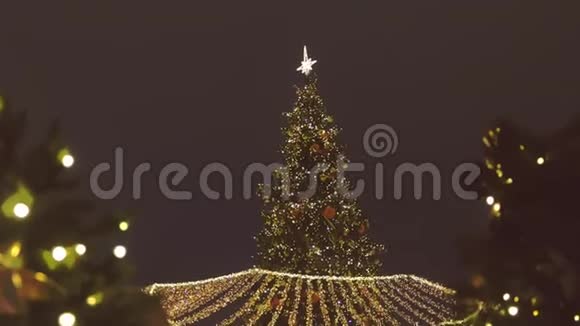 夜晚广场上美丽闪烁的圣诞树视频的预览图