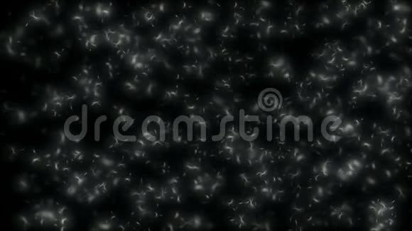太空中的蒲公英种子视频的预览图