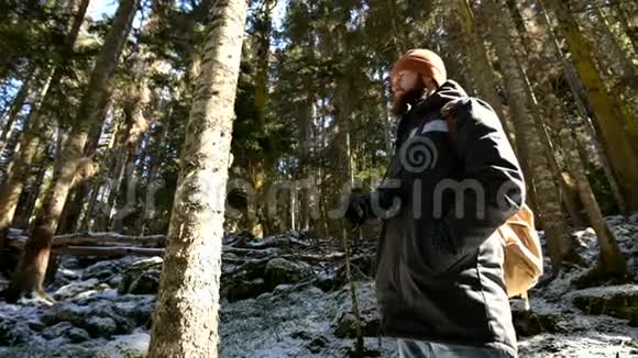 一位带背包的男性旅行者在针叶林的小径上行走时的低宽视角后视镜视频的预览图