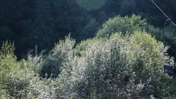 夏季在喀尔巴阡山绿林中滑雪用钢缆空运空椅视频的预览图