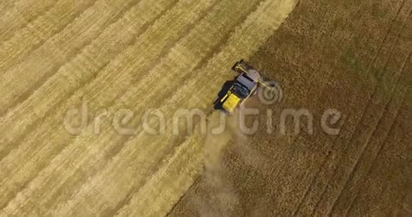 令人惊叹的上景黄色强力收割机在麦田里运作留下灰尘视频的预览图