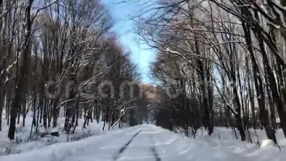 一片雪林旁的镜头移动白雪覆盖的道路视频的预览图