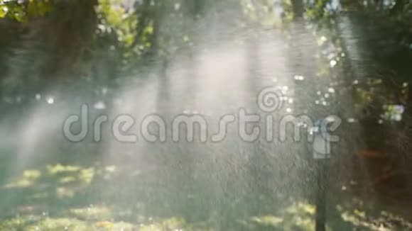 一个快乐的小女孩站在草坪浇水系统下视频的预览图