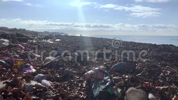污染的海岸海滩上的垃圾空塑料瓶橡胶鞋视频的预览图