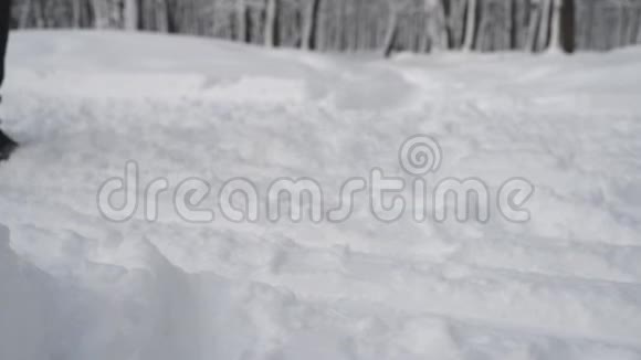 在白雪皑皑的冬林中奔跑的女人视频的预览图
