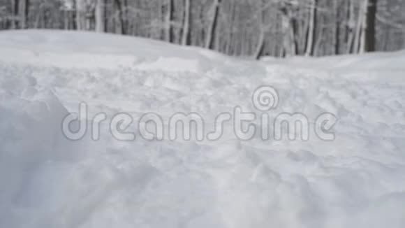 双脚滑雪者奔跑在白雪皑皑的冬林中视频的预览图