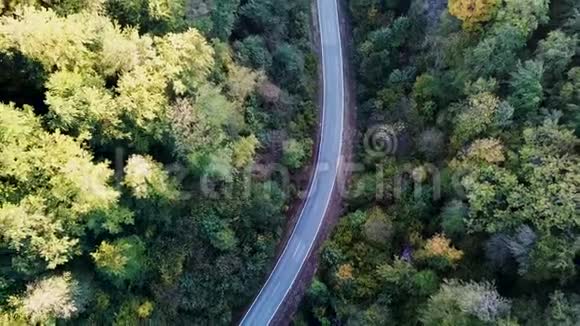 空中飞行飞越绿树之间的道路秋色摩托车在街上穿过森林视频的预览图