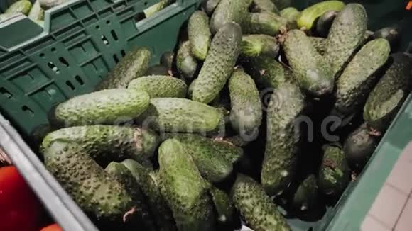 黄瓜植物产品从新鲜的绿色生有机农场准备送到超市视频的预览图