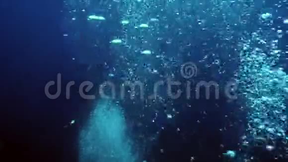 只有海水的气泡在海洋的蓝色泻湖中视频的预览图