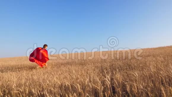 穿红色斗篷的女孩在麦田里扮演超级英雄慢动作视频的预览图