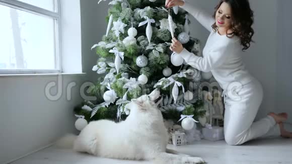 圣诞节美丽的年轻女子在新年前夕在白狗旁边装饰圣诞树视频的预览图