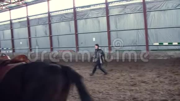 在一个特殊的机库里一个女教练训练一匹黑色的纯种马他跳起来绕着一圈跑马马马马马视频的预览图
