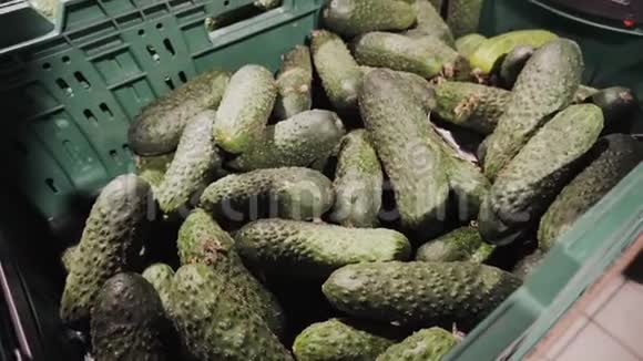 一大堆新鲜的绿色有机黄瓜准备在超市出售黄瓜农业概念背景视频的预览图
