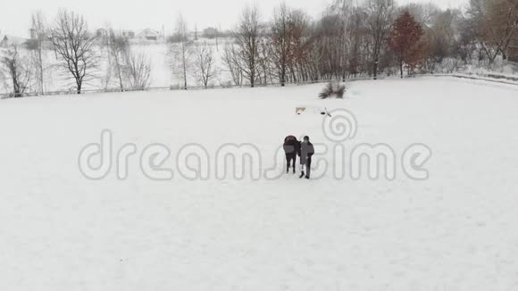 空中俯视冬天残疾人站在雪场上的黑马附近他用假肢代替右腿视频的预览图