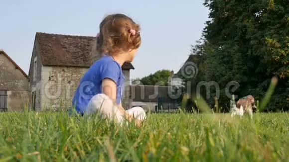 可爱的卷曲女孩和一只猫玩耍坐在草地上以古老的建筑物和树木为背景视频的预览图