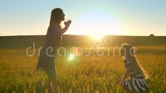 快乐的年轻母亲和美丽的金发小女儿跳在麦田里微笑着背景是日落视频的预览图