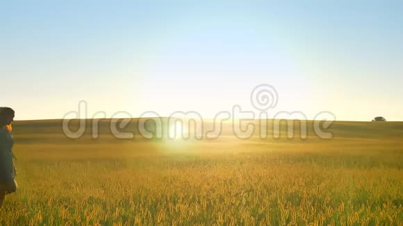 母亲和小女儿一起走在小麦或黑麦田里背景下美丽的日落景色视频的预览图