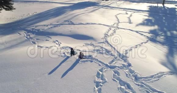 孩子们在雪地里玩4k视频的预览图