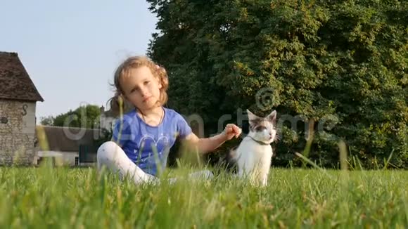 一个甜美的女孩和一只三色的猫坐在旁边的草地上在一栋老房子的背景下视频的预览图