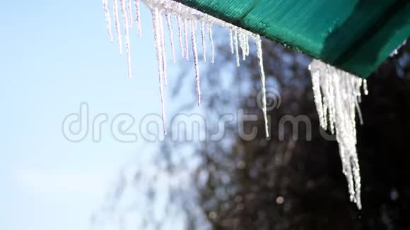 冬天霜冻下雪晴天特写大的透明冰柱挂在屋顶上对着天空视频的预览图