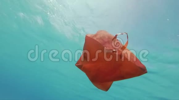 塑胶废物购物袋污染海洋视频的预览图