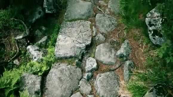 沿着多山的森林岩石小径散步视频的预览图