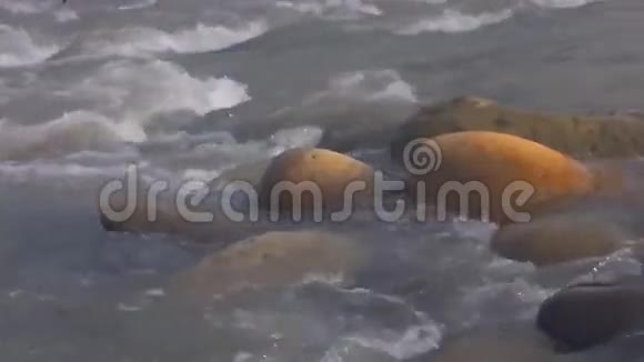 河里的大石头视频的预览图