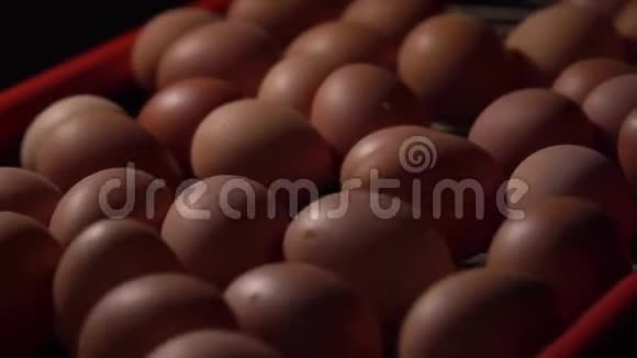 鸡蛋生产线在鸡场上运行工厂里的鸡蛋分类4K视频的预览图