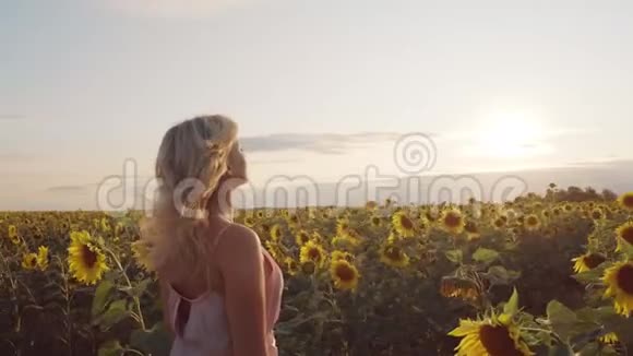 一个年轻的女人站在向日葵之间的田野里她有一头金发和一件白色连衣裙一个女人和她站在一起视频的预览图