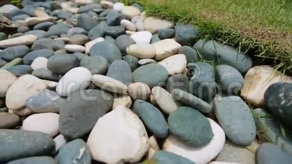 地上的椭圆形石头视频的预览图