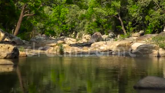 热带森林大石头之间的河流中的野生景观清洁水在岩石河中流动的波浪视频的预览图