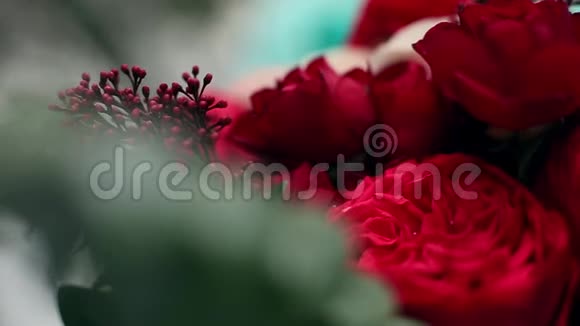 新娘捧着一束由白色和红色玫瑰制成的花植物区系构图的近景视频的预览图