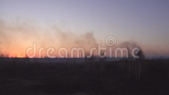 红日在烟雾中日落在城市的背景下森林大火和干草复制空间破坏视频的预览图