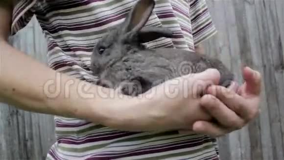 手里拿着兔子视频的预览图
