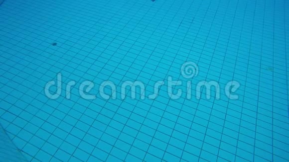 小女孩潜入游泳池对着镜头游泳视频的预览图