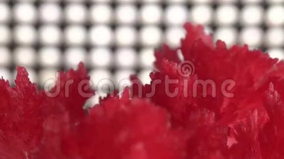 在二极管照明背景上美丽的红色晶体晶体慢慢地旋转和闪耀实验实验视频的预览图