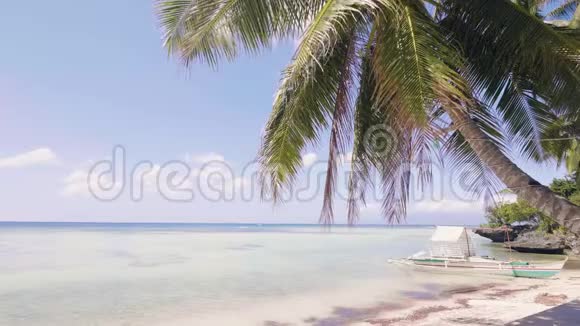 海滩上的景观棕榈树和蔚蓝海岸上的船蓝色的大海和天际线视频的预览图