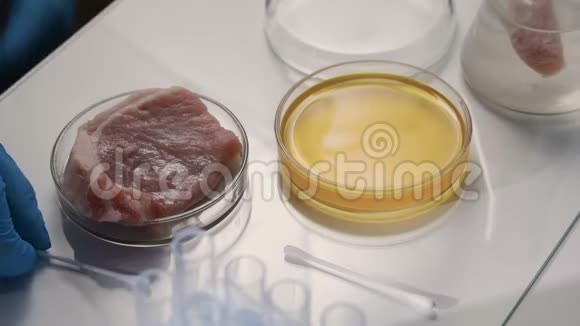 实验室研究人员在肉类样品中注射化学液体食品质量控制视频的预览图