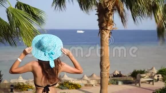 美丽的女人正在海滩上休息看着大海女孩把帽子伸直安顿下来视频的预览图
