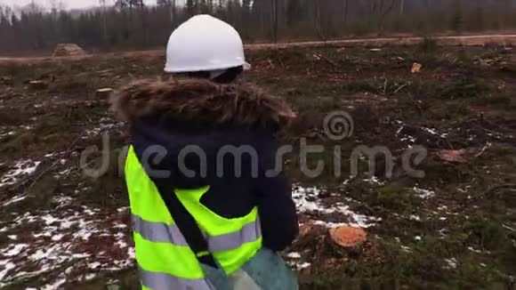 雪天被毁森林的女林业雇员视频的预览图