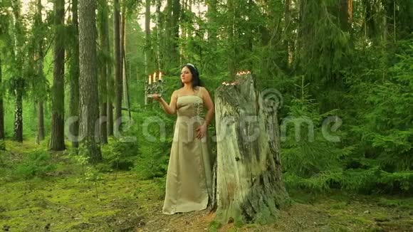 一个森林仙女站在一个大树桩上手里拿着一个烛台手里拿着燃烧的蜡烛视频的预览图
