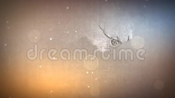 雾中带粒子4K环的鹿视频的预览图